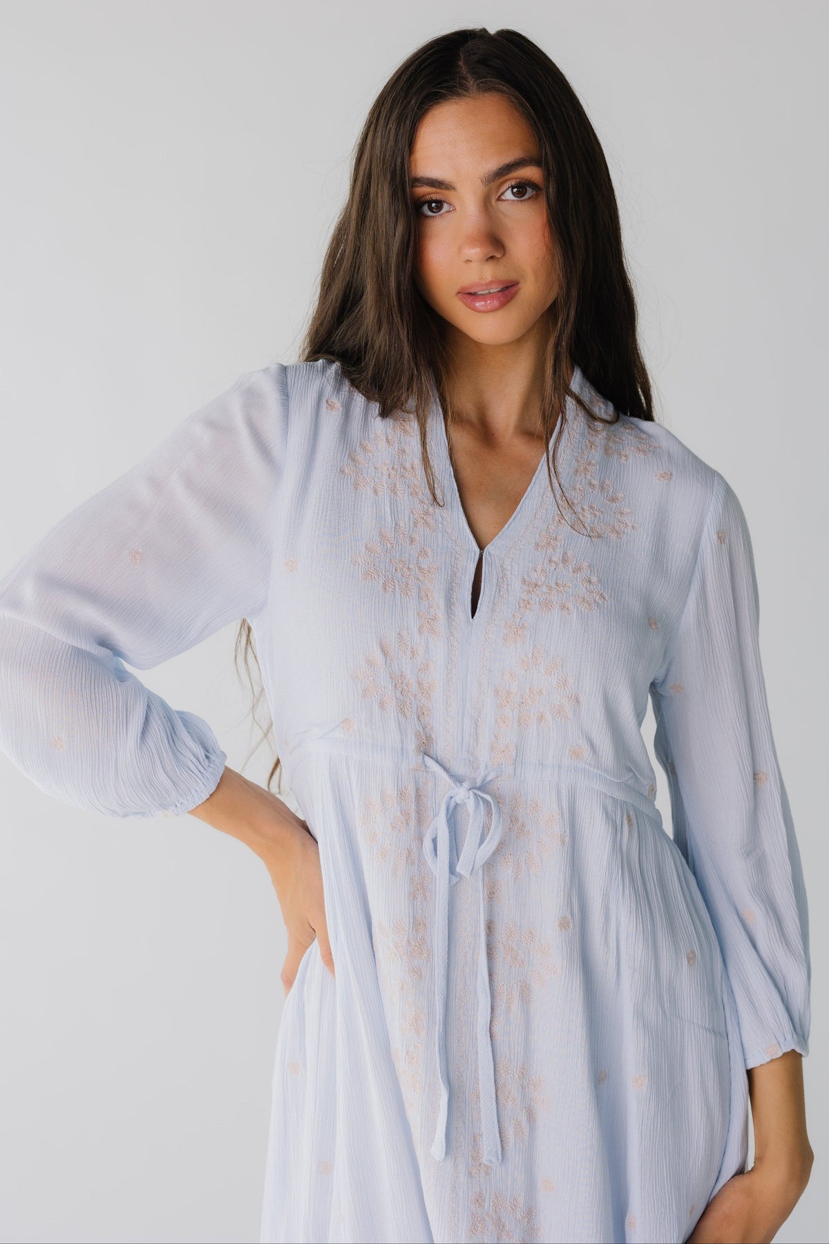 Citrus Dori Embroidered Dress